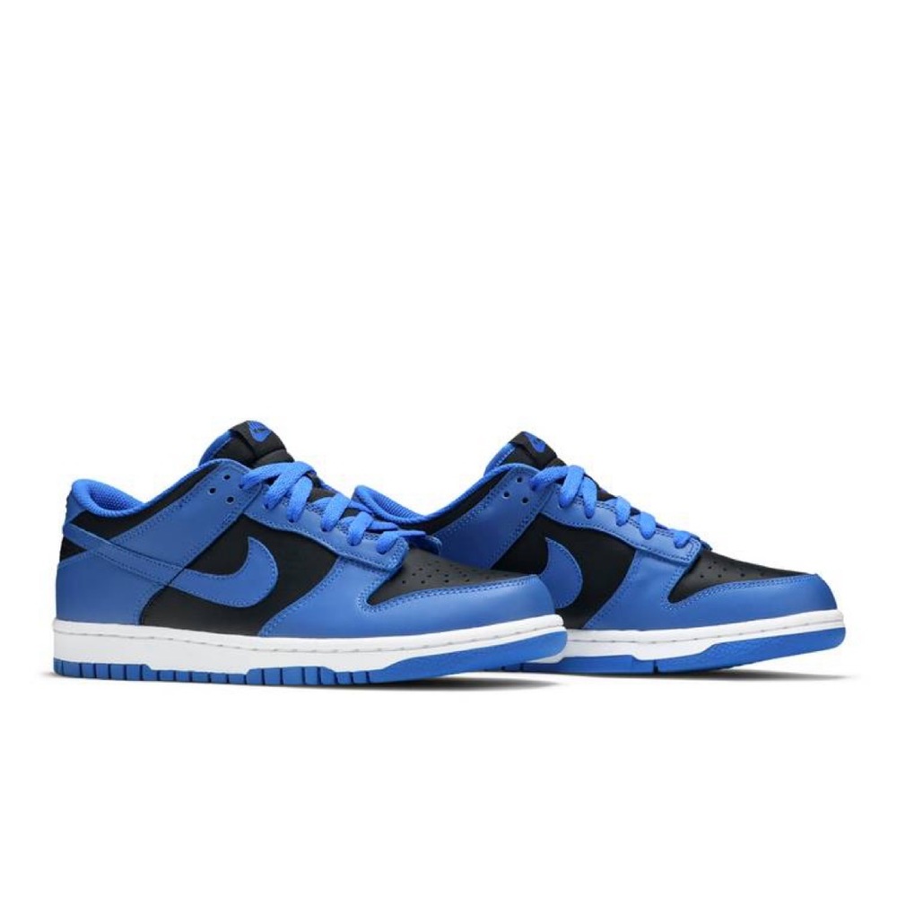 Nike Dunk Low (M 8.5, W sz 10)